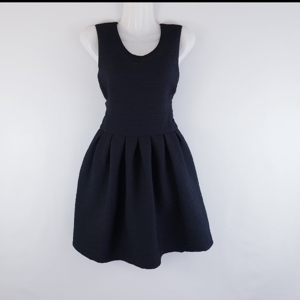 Aritzia Talula Fit & Flair dress